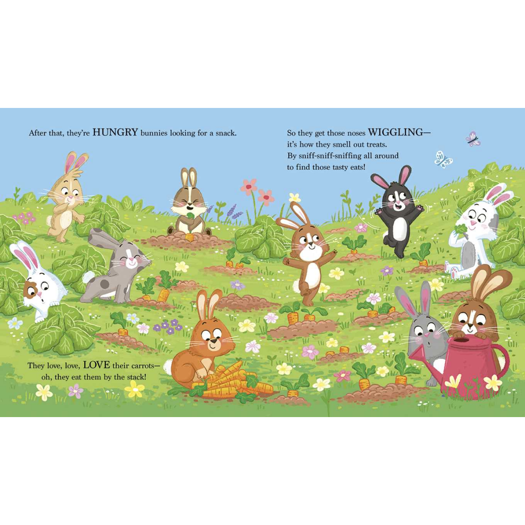Bouncing Bunnies Board Book